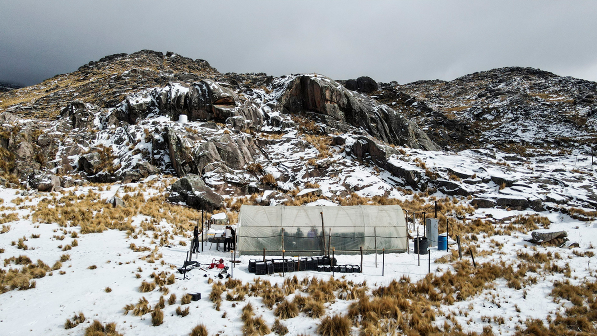 Invernadero de altura